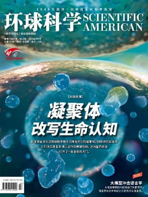 No.232_Apr-25